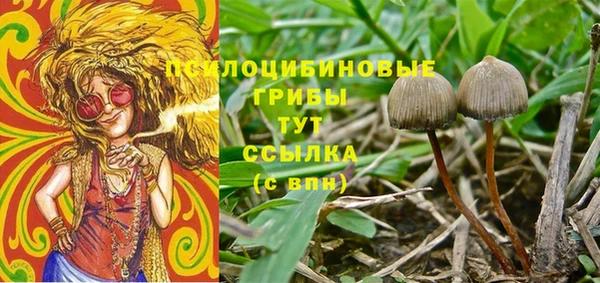 кокаин колумбия Алексин